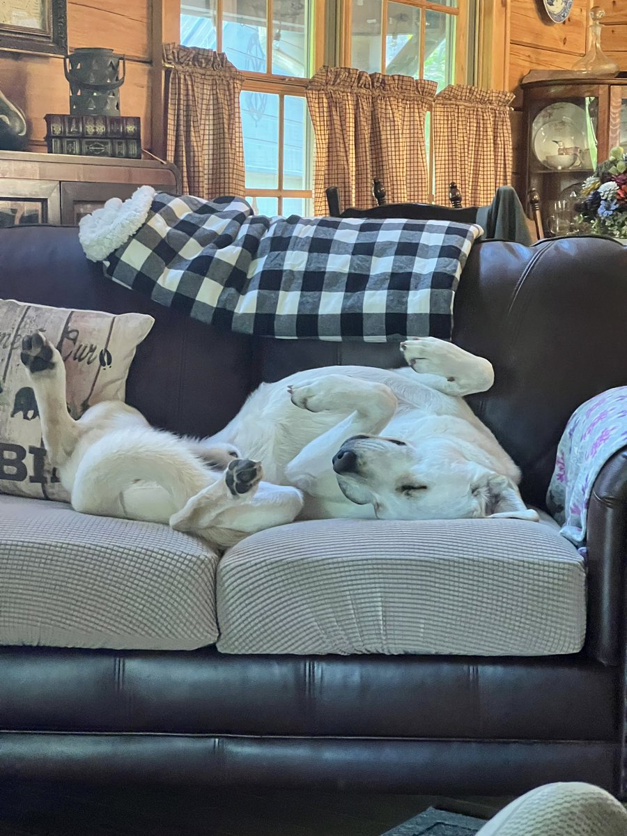 HuckabillyBlue's tweet photo. #CelebrationsCallFor stamina. https://t.co/gyRPLBwD72