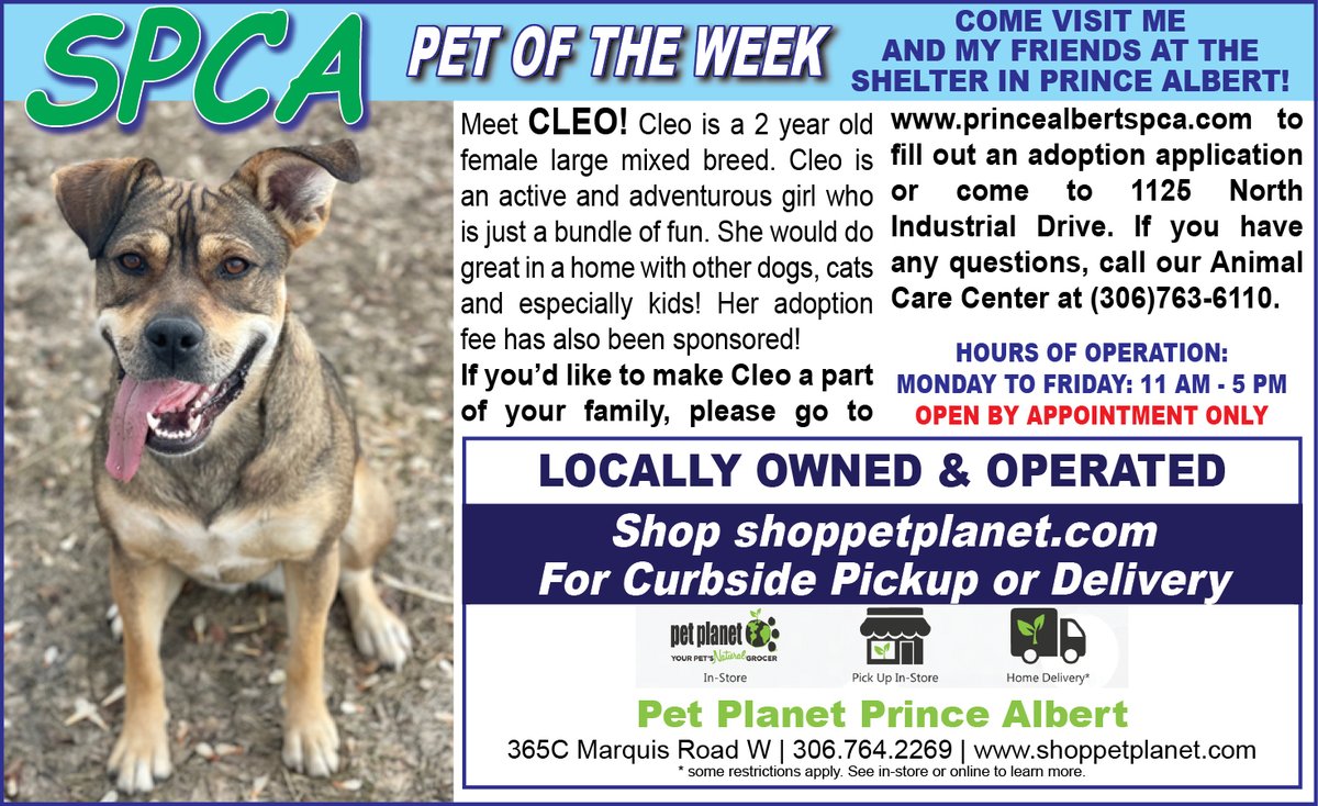 PAShopper's tweet image. SPCA - Pet of the Week
princealbertshopper.com/spca
#SPCA #PetoftheWeek #princealbertshopper