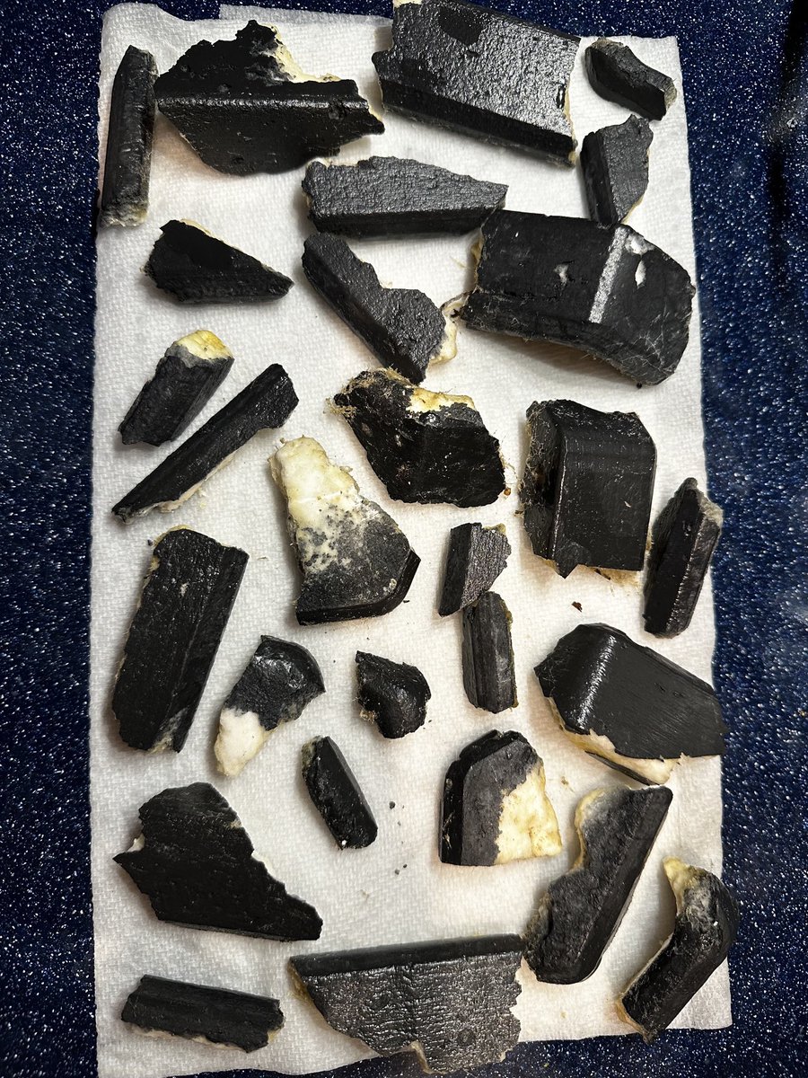 DrChrisCombs's tweet photo. Apparently all the Starship thermal protection system tiles started washing up on South Padre Island yesterday (~3 weeks post launch)

Lots of interesting photos from @bubbagucci who says “There is no way to not find these. They’re everywhere, up and down the island.” #SpaceX https://t.co/ZRjhOzLvAV