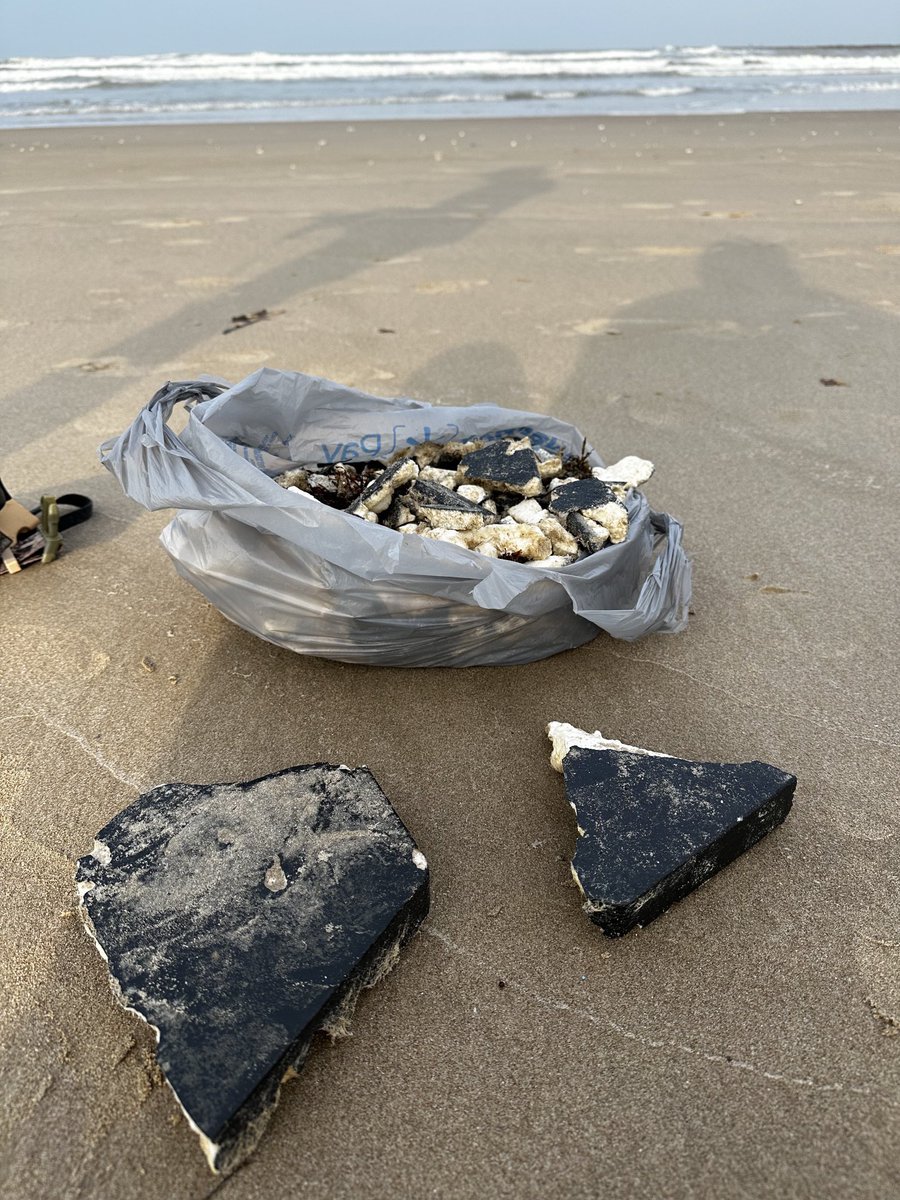 DrChrisCombs's tweet photo. Apparently all the Starship thermal protection system tiles started washing up on South Padre Island yesterday (~3 weeks post launch)

Lots of interesting photos from @bubbagucci who says “There is no way to not find these. They’re everywhere, up and down the island.” #SpaceX https://t.co/ZRjhOzLvAV