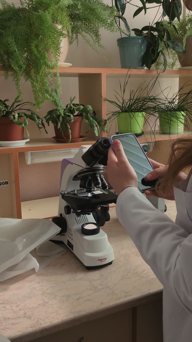 agustdbiology tweet picture