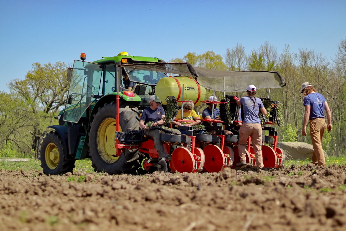 hungertaskforce's tweet photo. It's transplant season at the #HungerTaskForceFarm, and the warm weather this week has allowed our farmers to #transplant thousands of lettuce #seedlings. Now it's time to get these seedlings watered so we can #harvest these healthy, fresh foods for local families in need. https://t.co/O3xAFywsEJ
