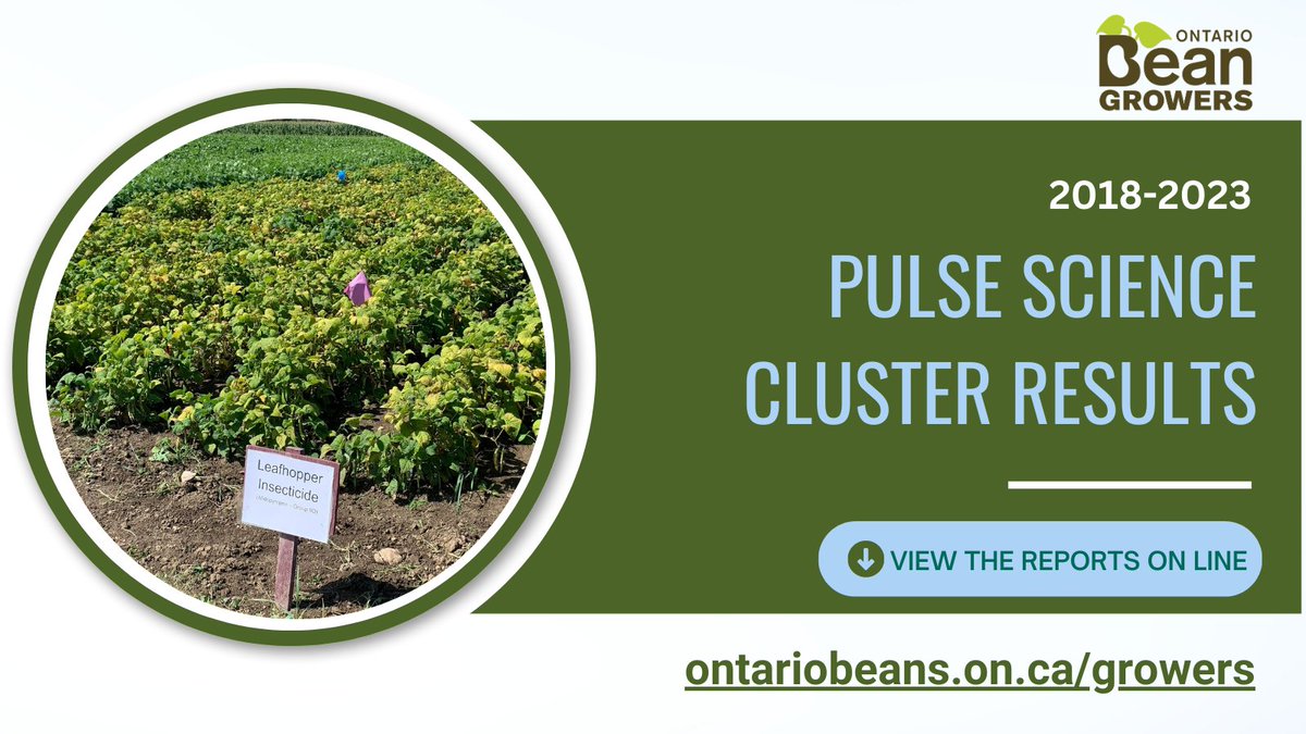 OntBeanGrowers's tweet photo. From 2018-2023 OBG invested nearly $1.4 million into the Pulse Science Cluster and through Canadian Agricultural Partnership, AgriScience Cluster Program leveraged an additional $2.6 million of Government and other industry funds. https://t.co/5y1EQR60SZ https://t.co/HTC5oJc6at