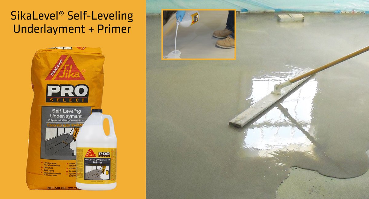 Chad Cesaro (@chadsika) on Twitter photo 