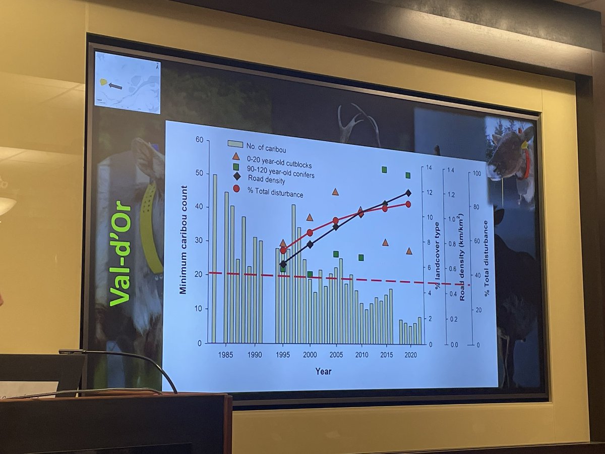 ClaytonTLamb's tweet photo. Absolute bell-ringer talk by Martin-Hugues St-Laurent on the caribou “recovery” process in QC. Politically-expedient delays and additional plans resulted in the eventual loss of the caribou and worsening habitat, instead of their recovery @nacw_auc_2023 #nacwauc2023 #NACW_AUC2023 https://t.co/ouyTZV2JOV