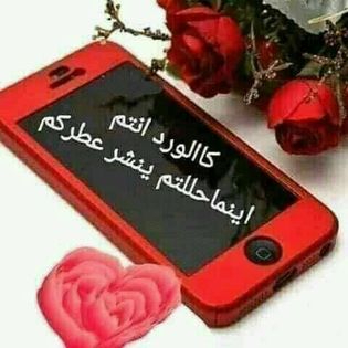 Dr_Nova tweet media