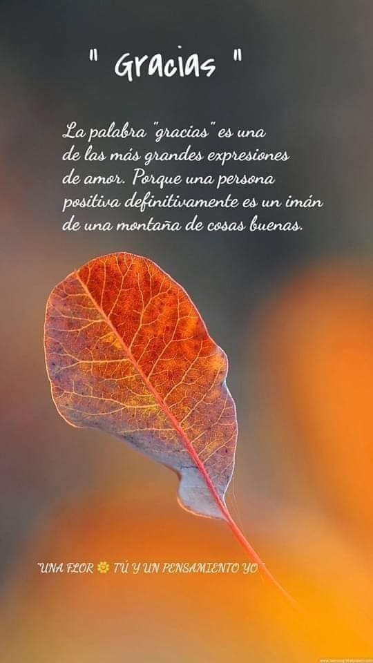 Gracias por todo!!!☺️