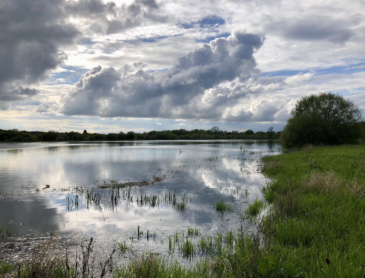 A nine warbler species session under dramatic skies this evening. #alvecotepools #localpatch #patchbirding #peakybirders