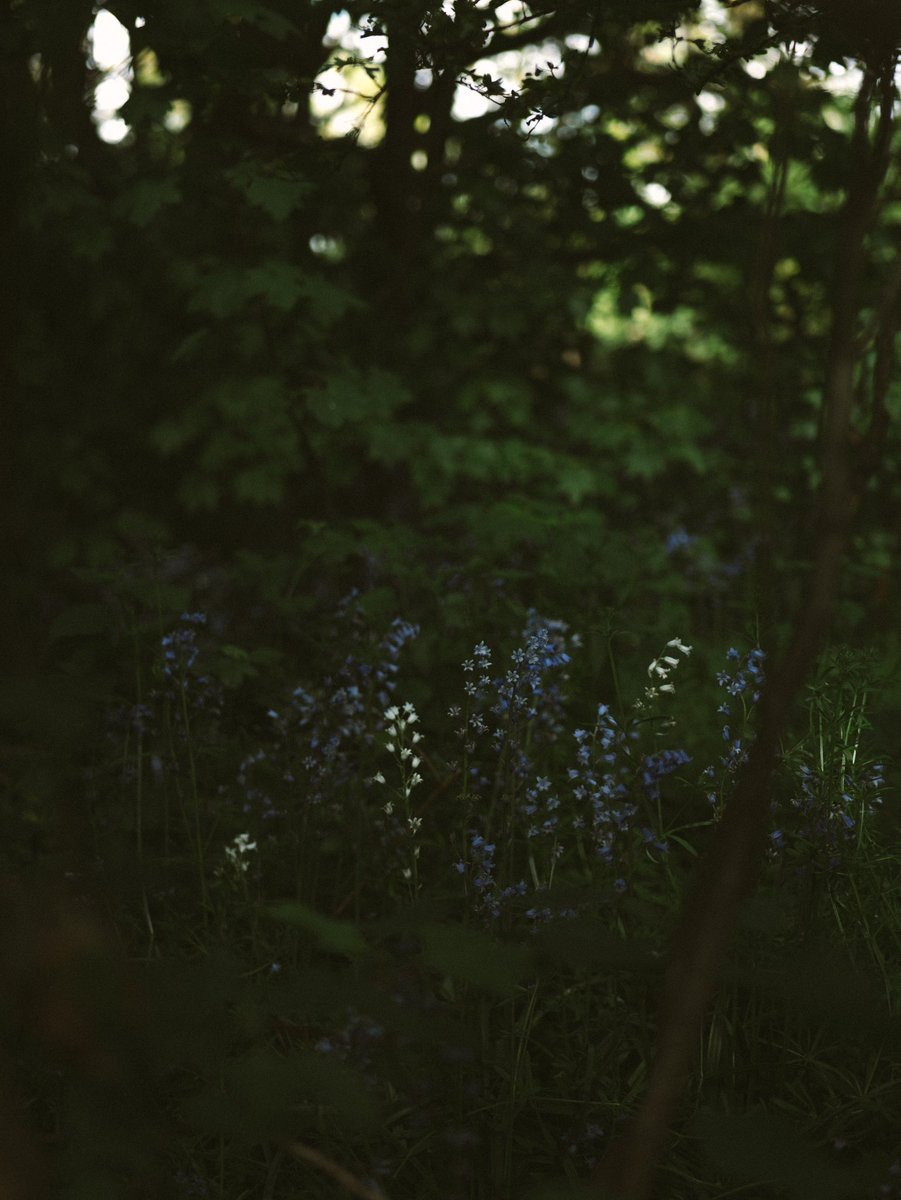 CiaraHillyer's tweet photo. moody walk https://t.co/hF3E4UqxxD