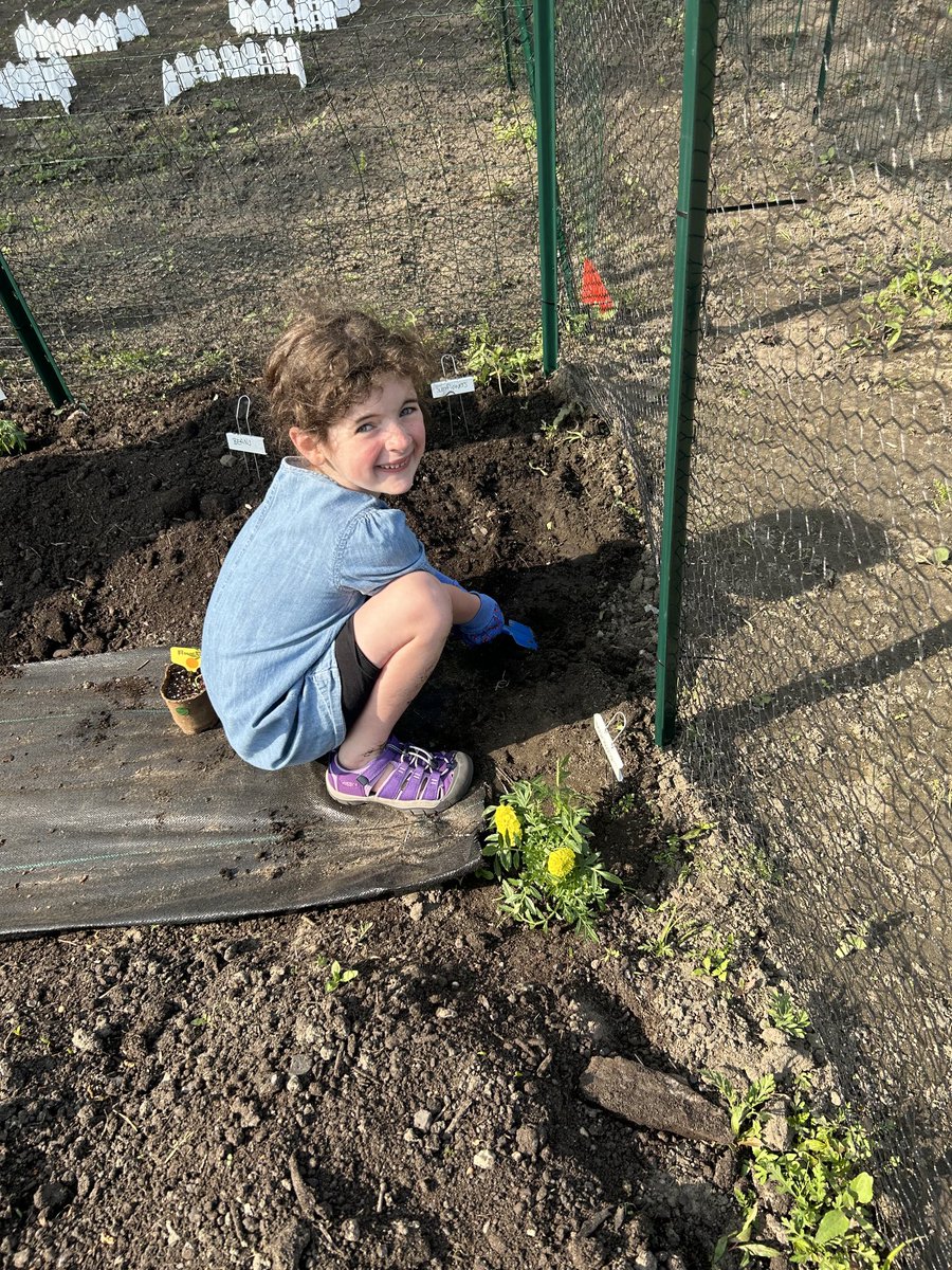 Russell Knight ES (@arkknights1) on Twitter photo Thanks to all our gardeners. Thanks to all our gardeners.