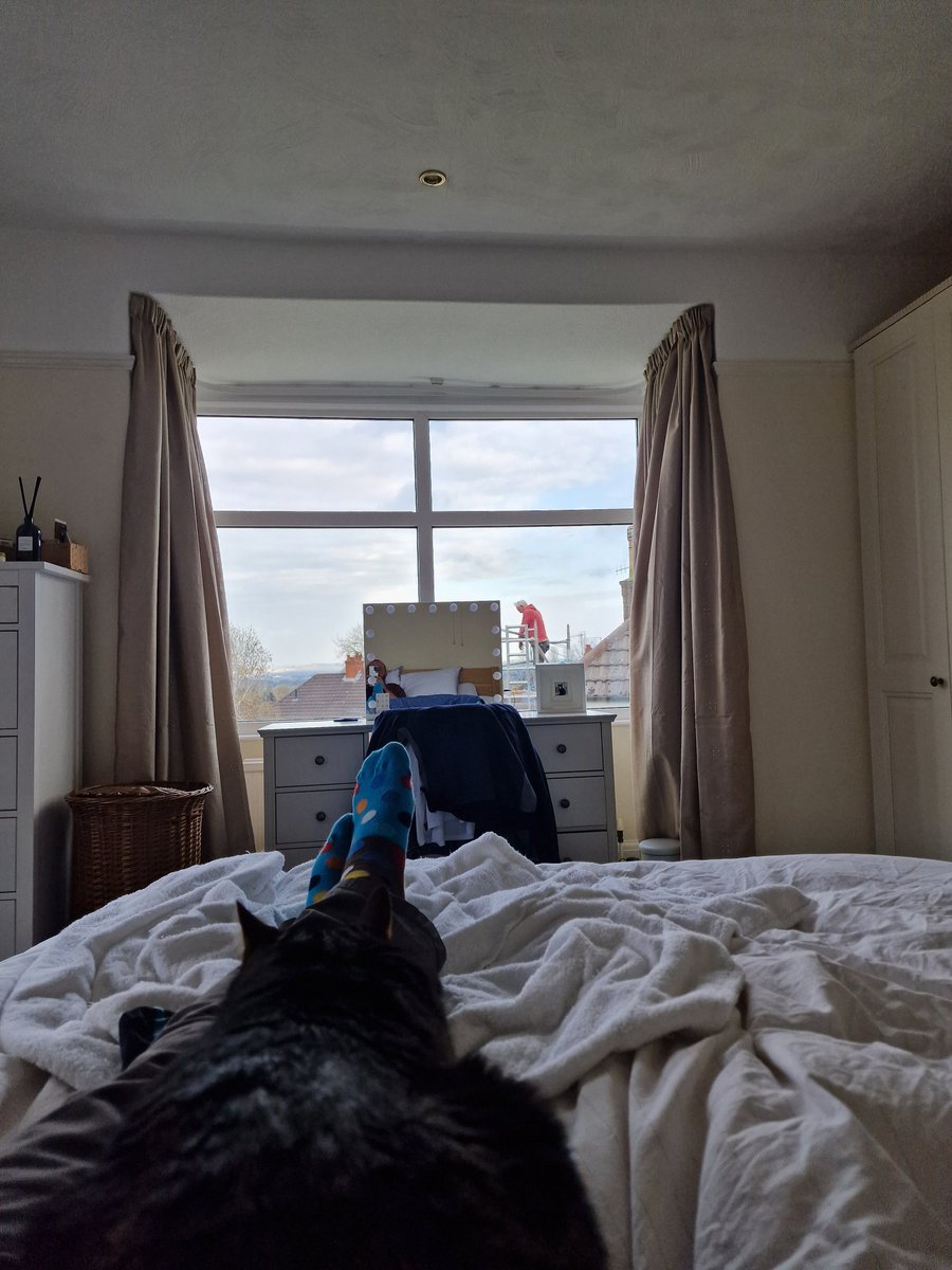 DrSeanMon's tweet photo. If you see this tweet then QT with the most recent photo you took of your pet. https://t.co/cVX6JaPW9b