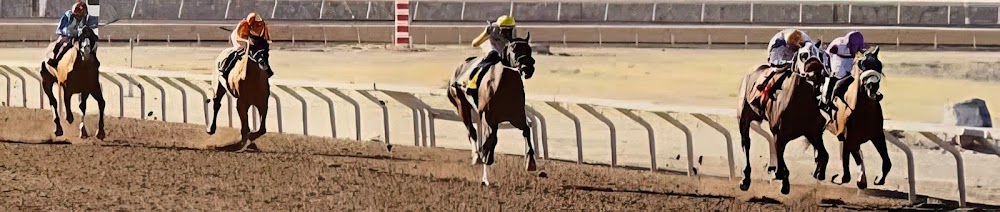 OzonaOrganics's tweet photo. Hats off to Wild On Ice for their outstanding qualification for the prestigious Kentucky Derby! 🏆🌽 Equine Metabolites and our Probiotics have played a vital role in their successful season. Keep up the great work, team! #DerbyQualifiers #GutPower 🐴💪 [Link: https://www.. https://t.co/z0gbZmKihP