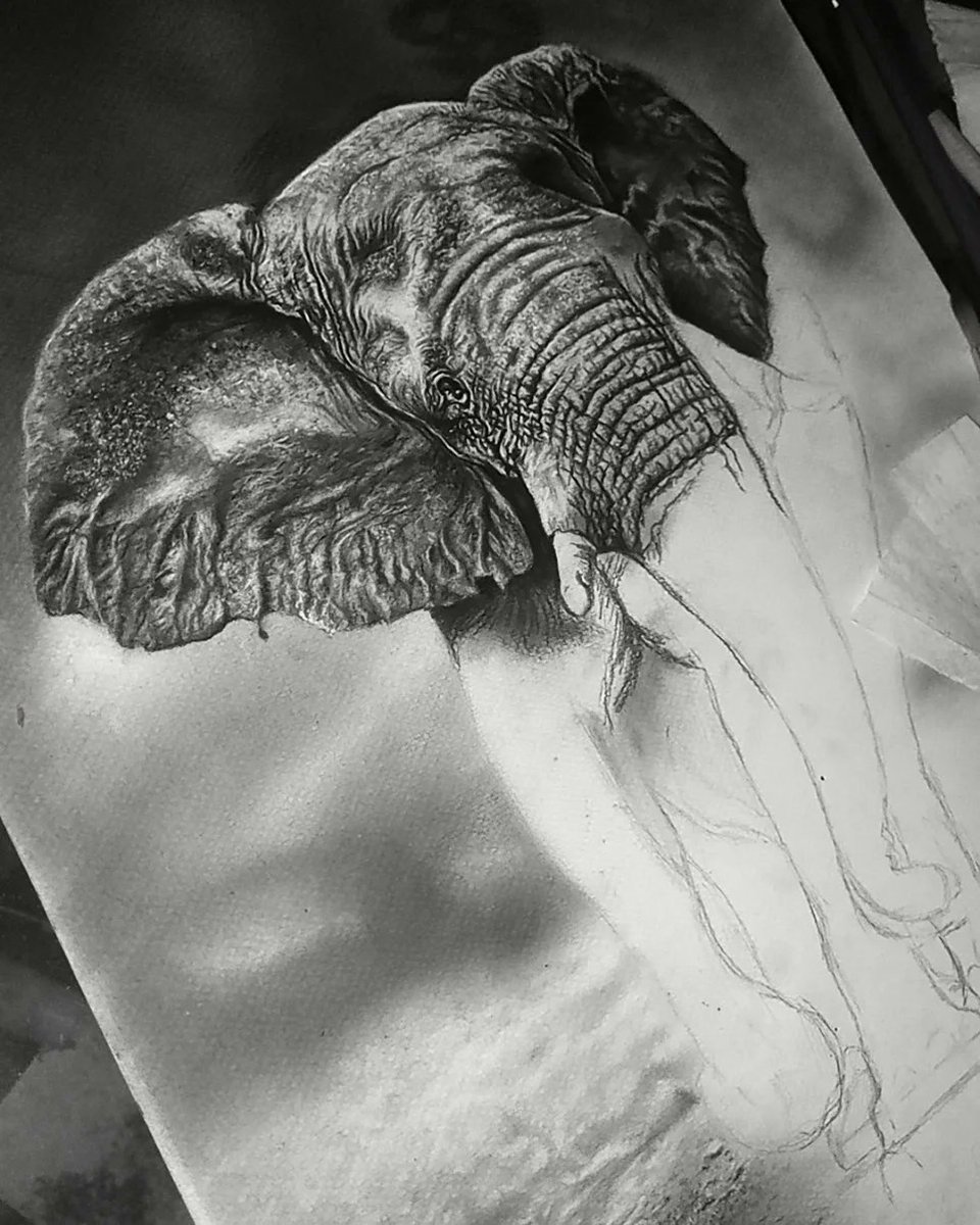 "The best is yet to come, be patient."  🙏
#Stage60
Pencil drawing on paper
#WIP 
<a href="/ArtMutuals/">Art(ist) RT & Support! ✩｡:*•.★✼☆｡.</a> <a href="/ArtMoots/">ArtMoots</a> 
#Hyperrealism #artontwitter