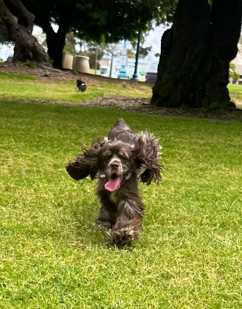 bellaamaro3's tweet photo. floppy queen👑 https://t.co/QE0TnuVbH7