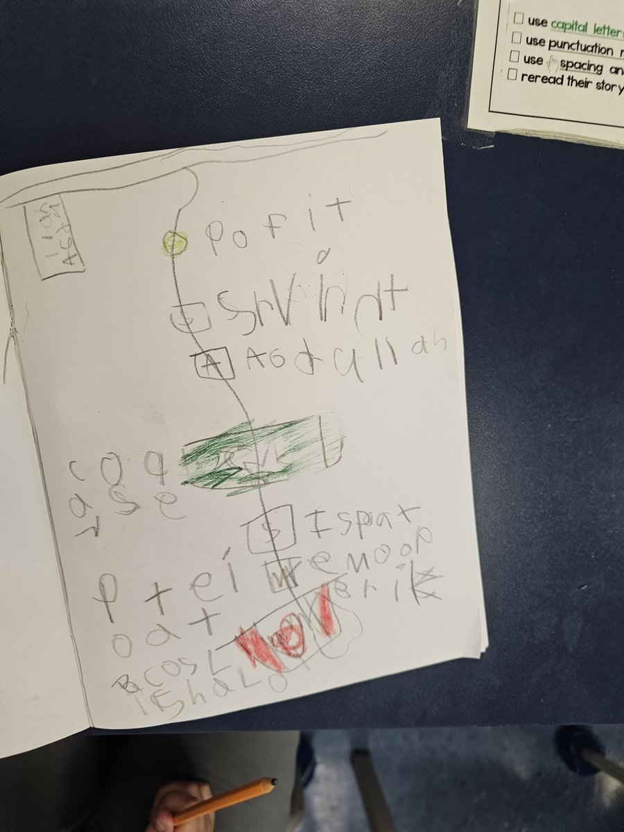 Mrs. Leung-Chow's Grade 1 Class tweet media