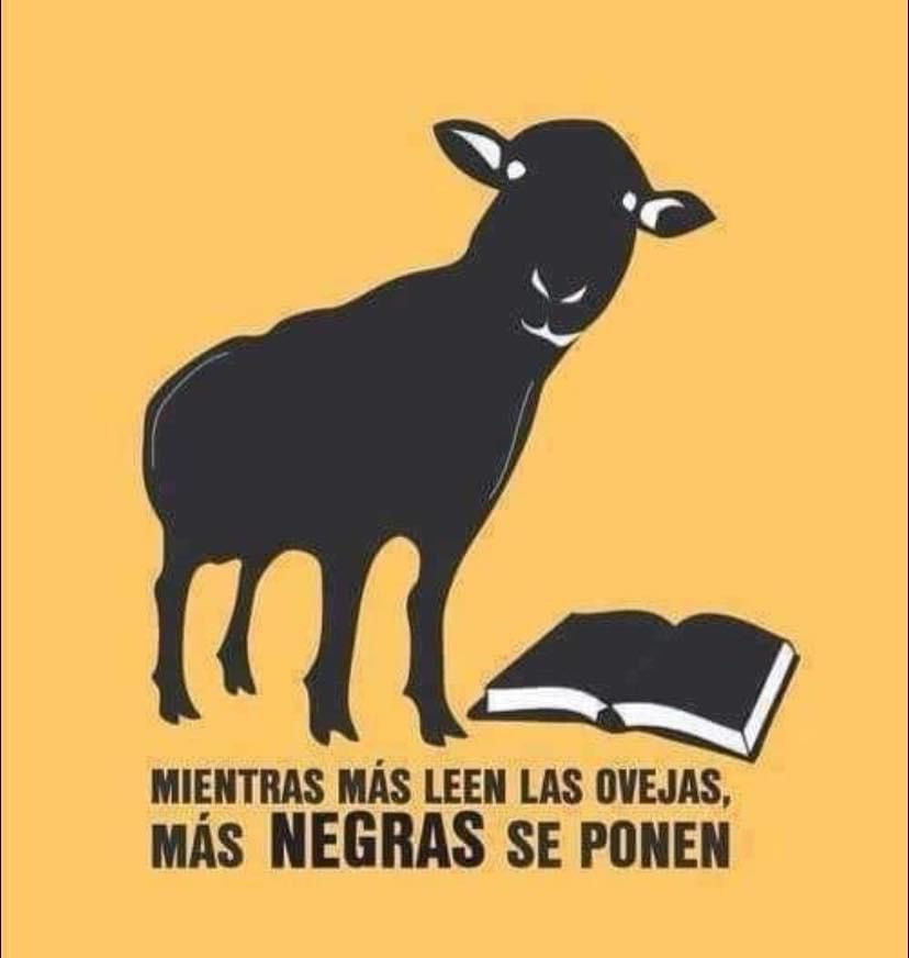 LaTornamesa's tweet photo. Mientras más leen las ovejas más negras se ponen 📚📚📚 https://t.co/4IdUblCML0