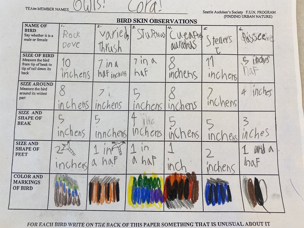 MollyMeck's tweet image. Using math to compare bird skins during #ProjectBasedLearning Thank you ⁦@SeattleAudubon⁩ for the resources that help connect our students and their families to the wonders of birds and nature!  #ForTheBirds #SPSConnects 🦅 🦜🦆