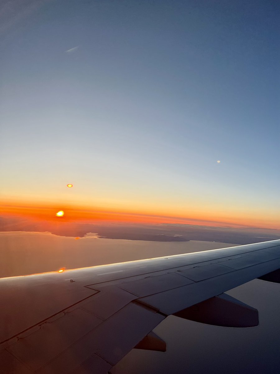 Brian_AutoEntry tweet media