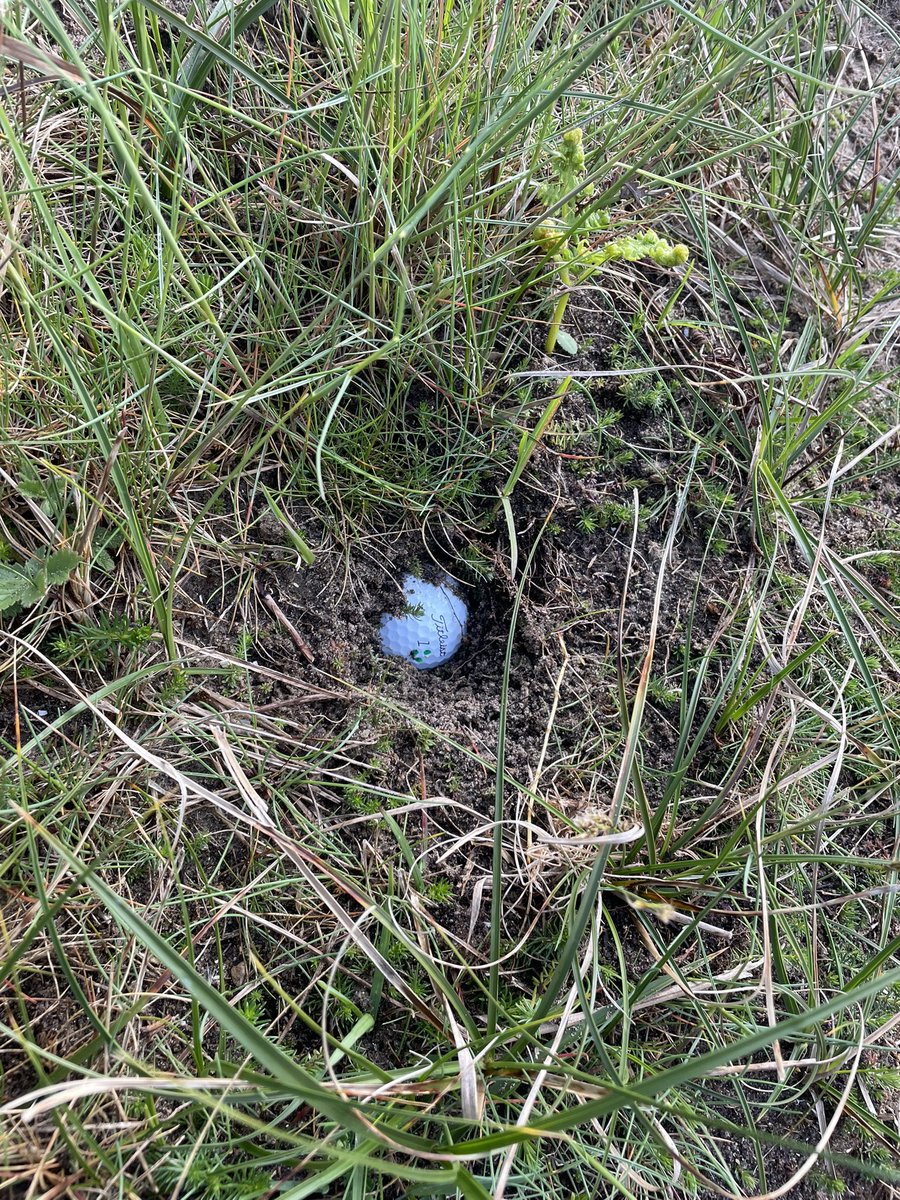 Golf S T R O N G ⛳️💪🏼 tweet media