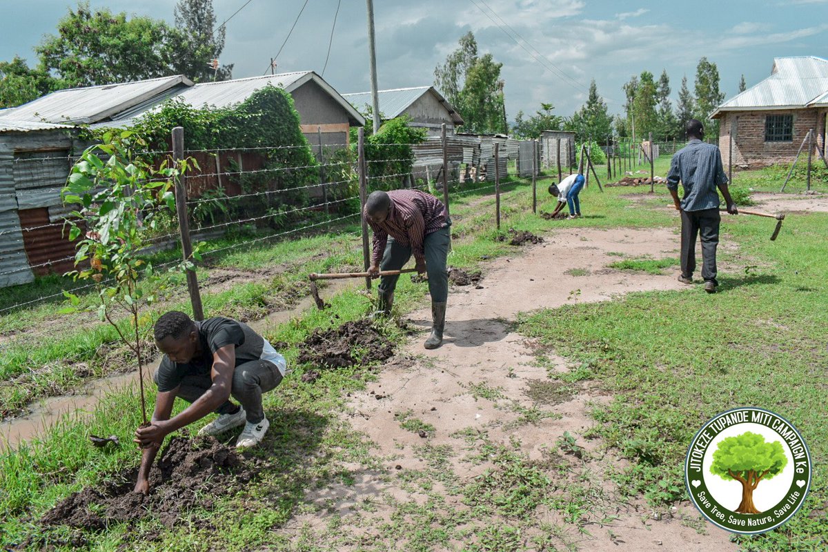 jijengeyouthorg's tweet photo. The act of planting and caring for trees has been proven to reduce #anxiety and improve mental well-being. Let's continue to #jengaafyaakili through our actions and protect our planet at the same time.
#changethroughinvolvement #mentalhealthawareness
#MentalHealthAwarenessMonth https://t.co/xYHr4AMxEb