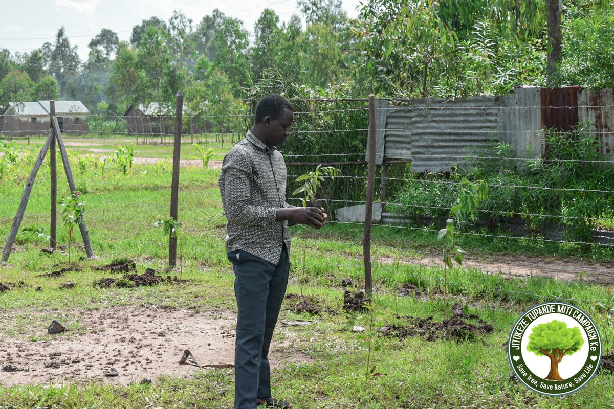 jijengeyouthorg's tweet photo. The act of planting and caring for trees has been proven to reduce #anxiety and improve mental well-being. Let's continue to #jengaafyaakili through our actions and protect our planet at the same time.
#changethroughinvolvement #mentalhealthawareness
#MentalHealthAwarenessMonth https://t.co/xYHr4AMxEb