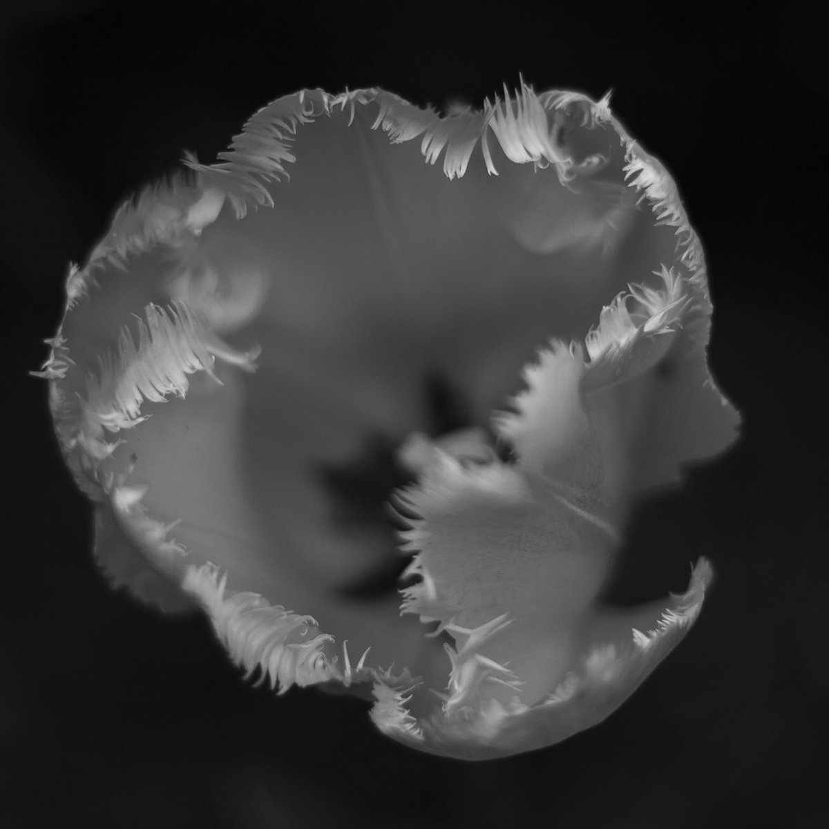 Diane Patrice (@dianepatrice) on Twitter photo 