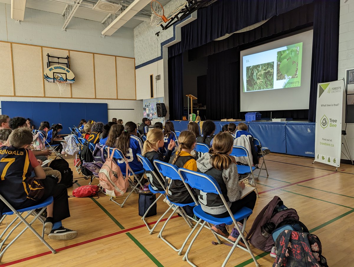 forestscanada's tweet photo. We loved seeing the students branch out their knowledge at the Durham #TreeBee competition at @StMonicaCS π³π They had a terrific time testing their tree ID! Thanks to our sponsors @opg @DurhamCatholic @TRCA_HQ @ParksCanada & Altona Forest for making this a tree-rific event! https://t.co/Sd1HTlv21U