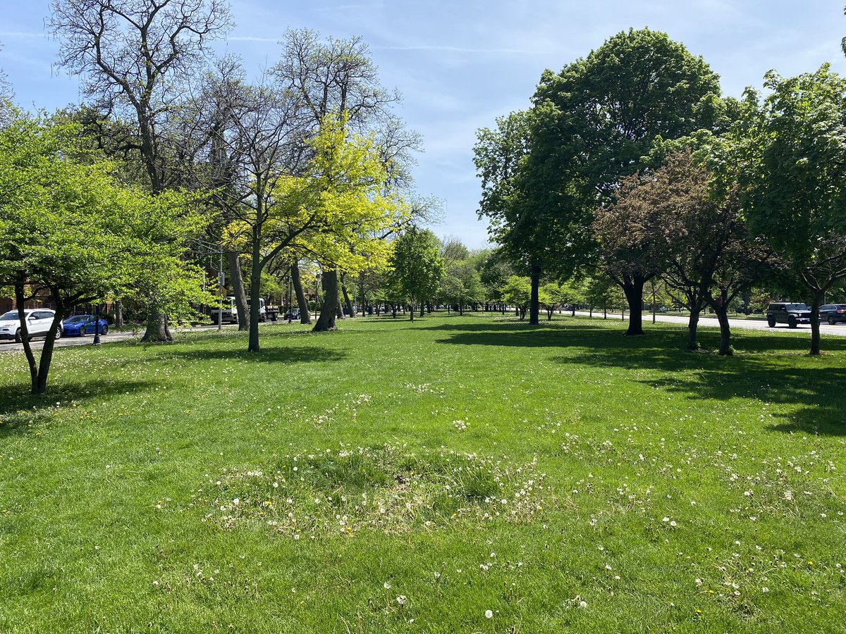 Jeremy Glover tweet media