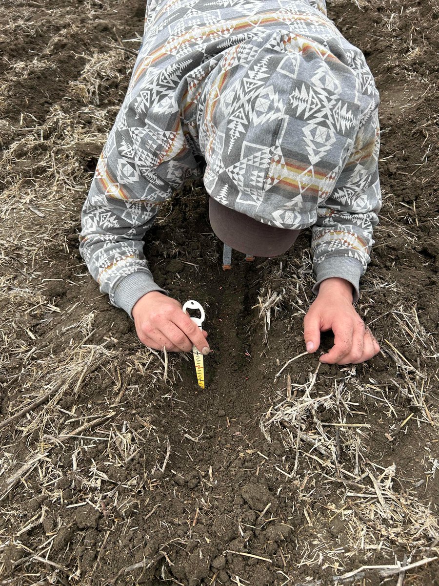 SeedMasterMfg's tweet image. Paired row seed placement. @AlbertaAGCentre #UltraSR #SeedMaster #PicketFence #Barley #Plant23
