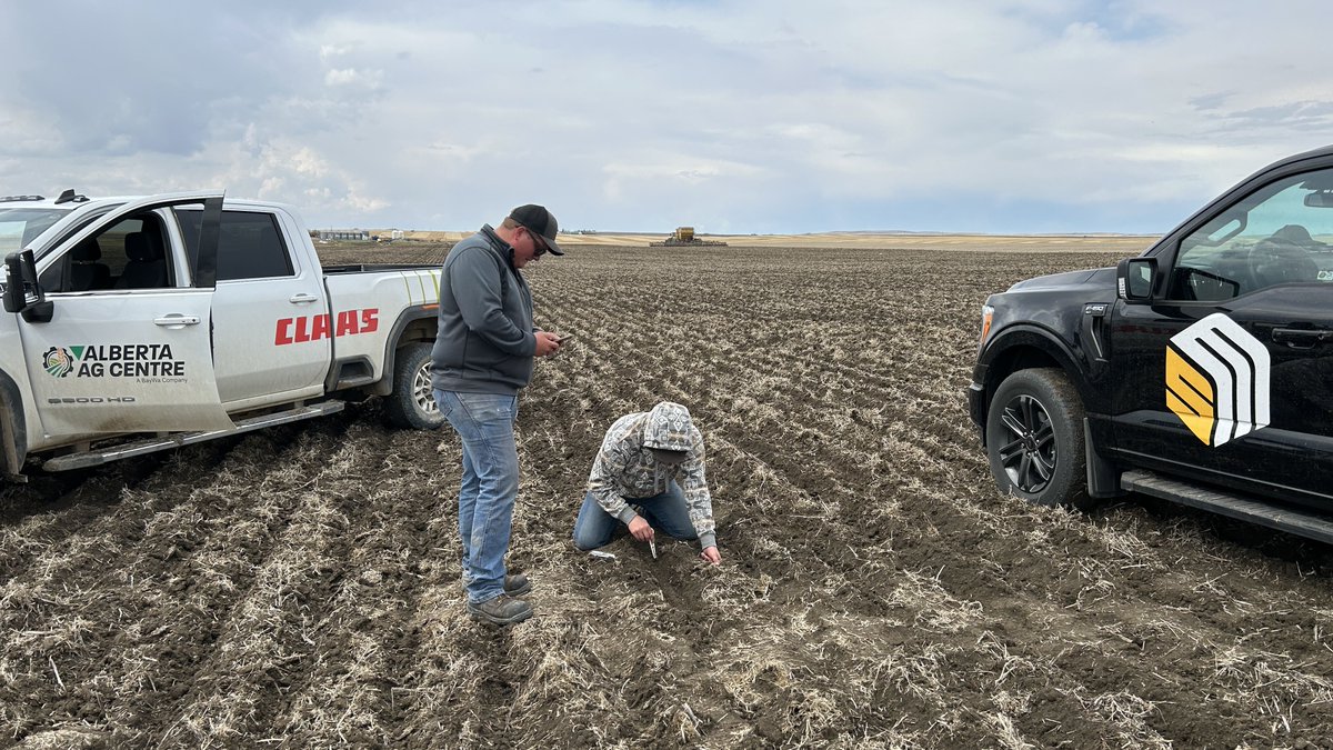 SeedMasterMfg's tweet image. Paired row seed placement. @AlbertaAGCentre #UltraSR #SeedMaster #PicketFence #Barley #Plant23