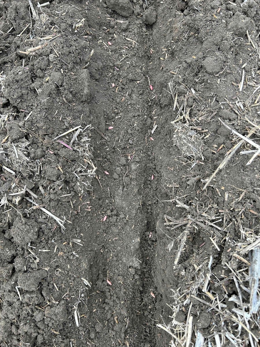 SeedMasterMfg's tweet image. Paired row seed placement. @AlbertaAGCentre #UltraSR #SeedMaster #PicketFence #Barley #Plant23