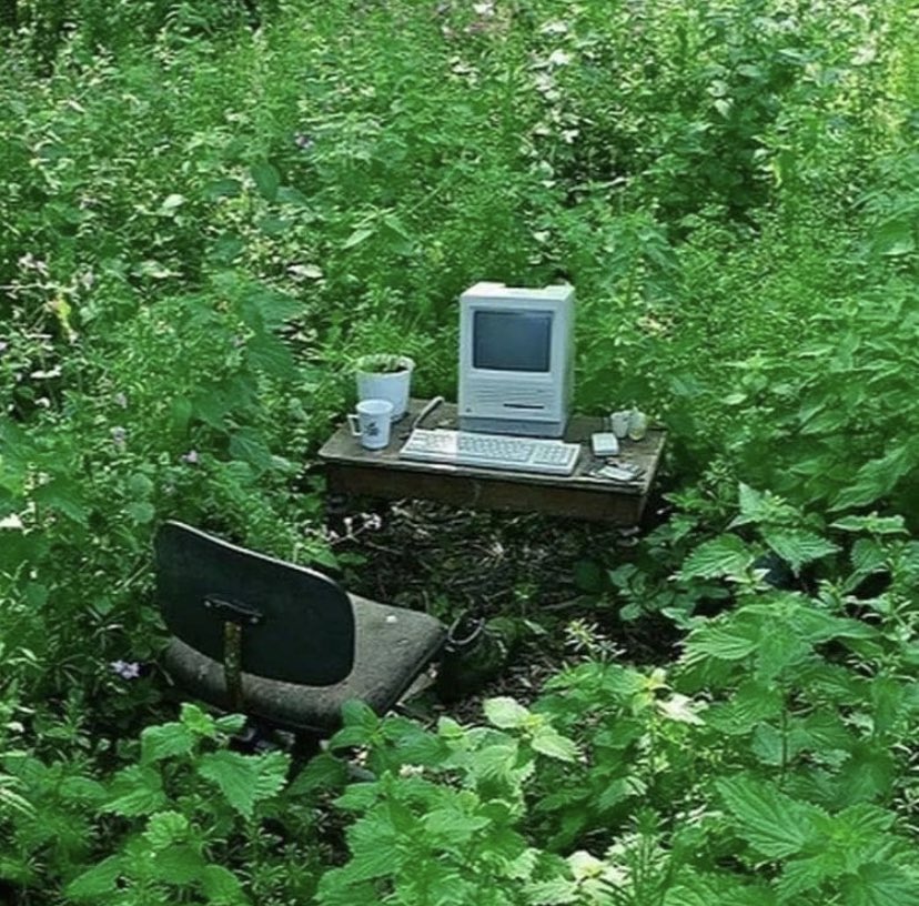 Jimmy Jones tweet media