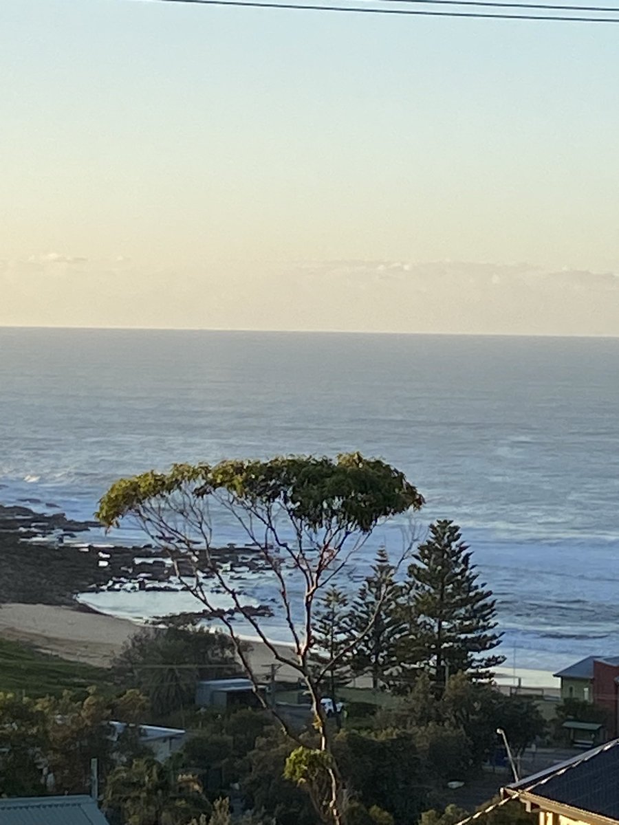 International Nurses Day is not only a celebration @UniNewcastleSNM but also a time to reflect on my 41years as a nurse with 39years in nurse education plus a gorgeous morning and wanted to share and brighten your day @Uni_Newcastle #NursesWeek2023