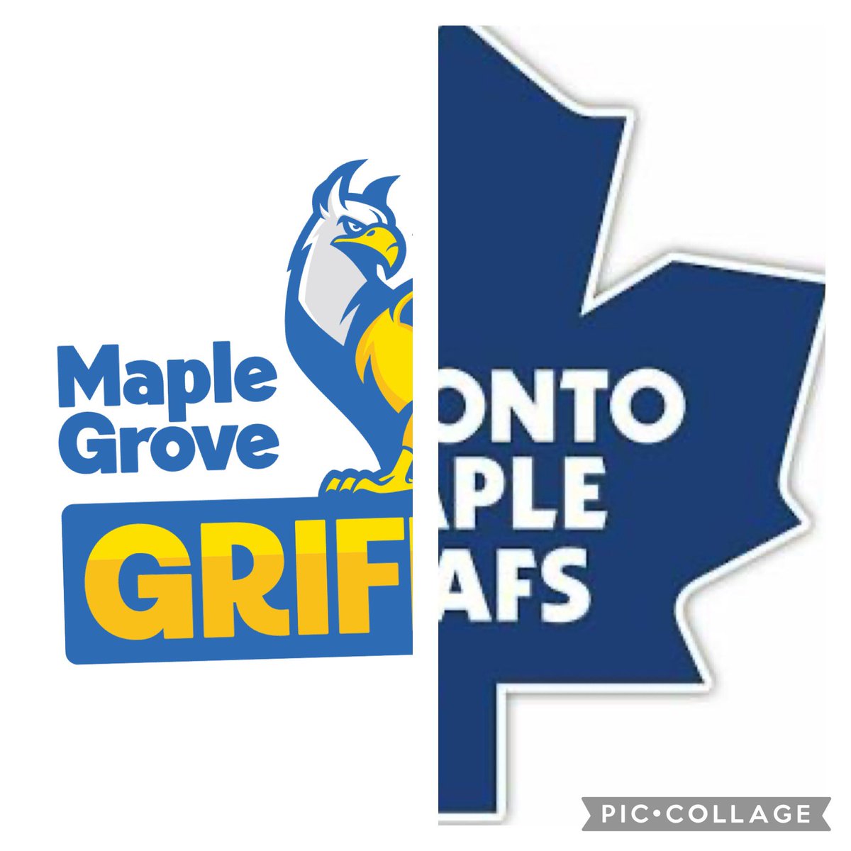 MapleGrove_PS's tweet image. Maple…Leafs or Grove…you choose your favourite Maple for our spirit day tomorrow!