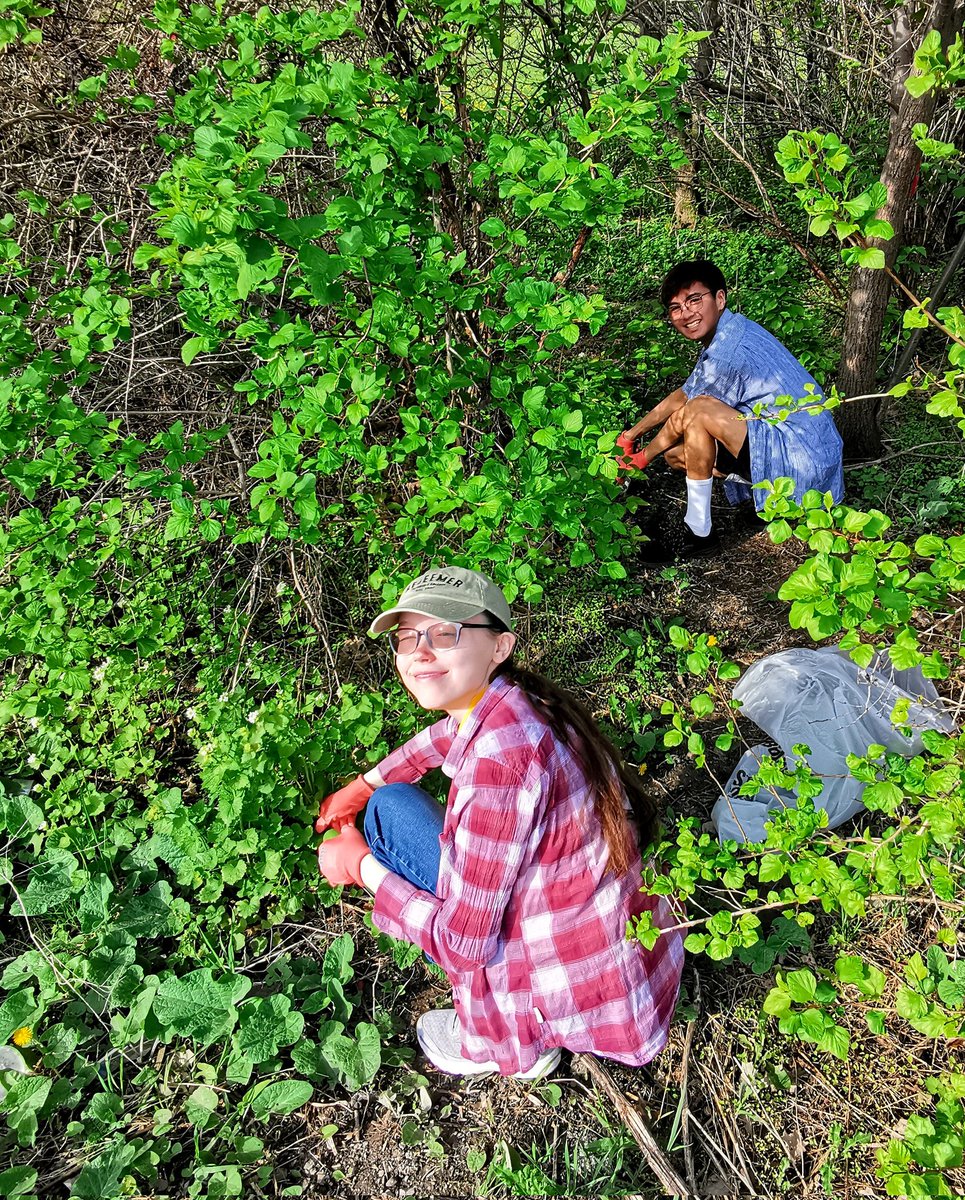 C.McConnell tweet media