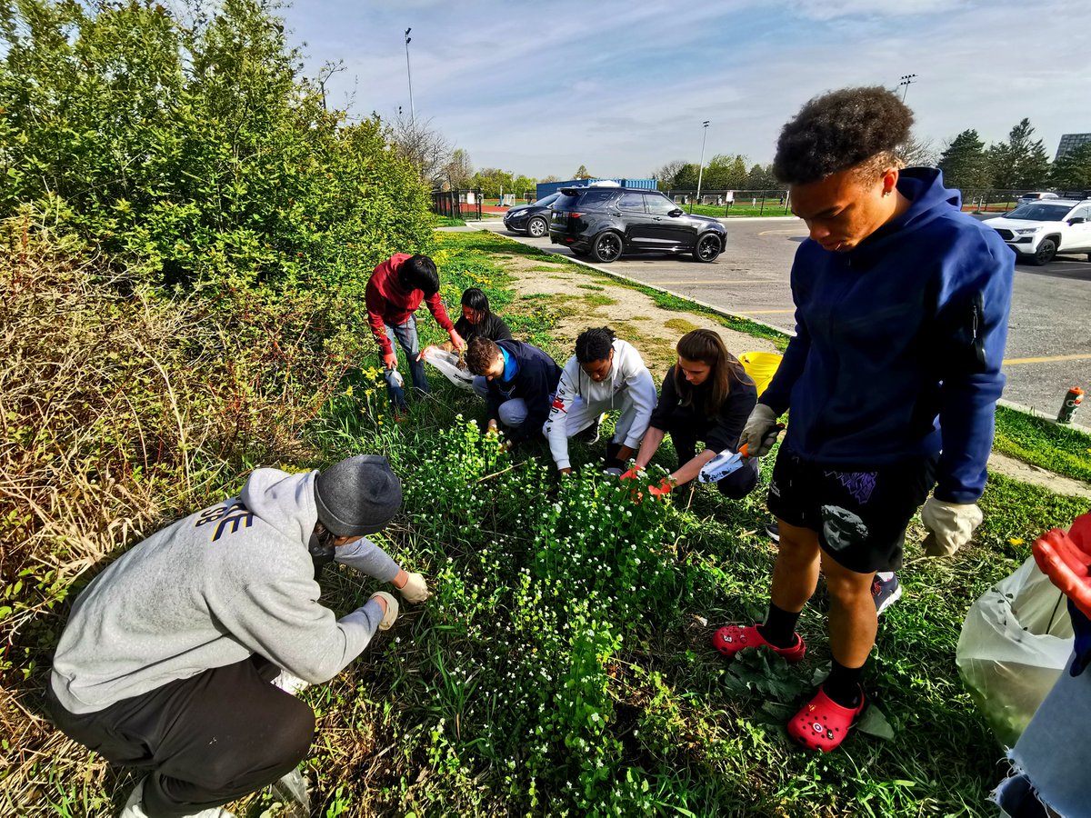 C.McConnell tweet media