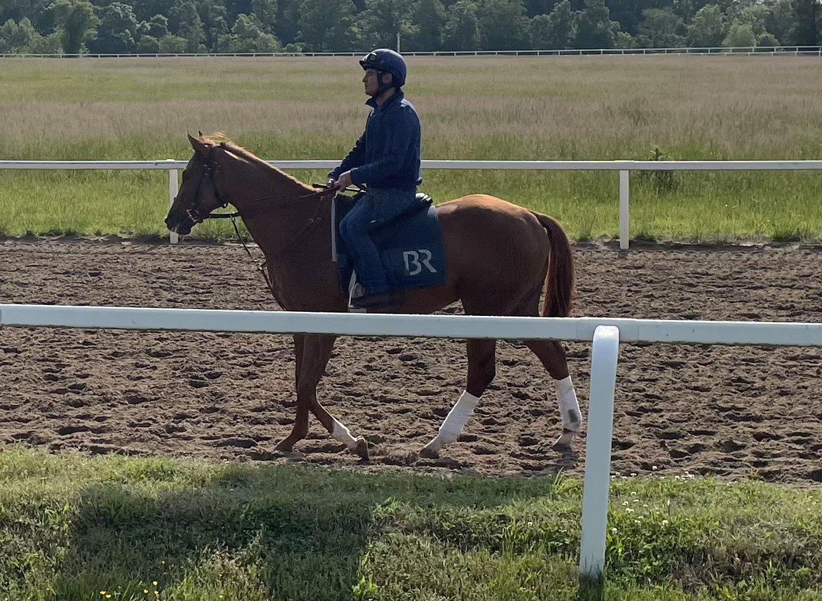 ItstheJHo's tweet photo. My @MarylandTB 2YO named MONKEY owned with @BTRracingstable in training this morning at @MiddleburgTrack with @BallyerinRacing. Picked out by @FrankAlosa at @FasigTiptonCo Midlantic last October. #MdBred #VaCertified https://t.co/L6XXiMBWzD