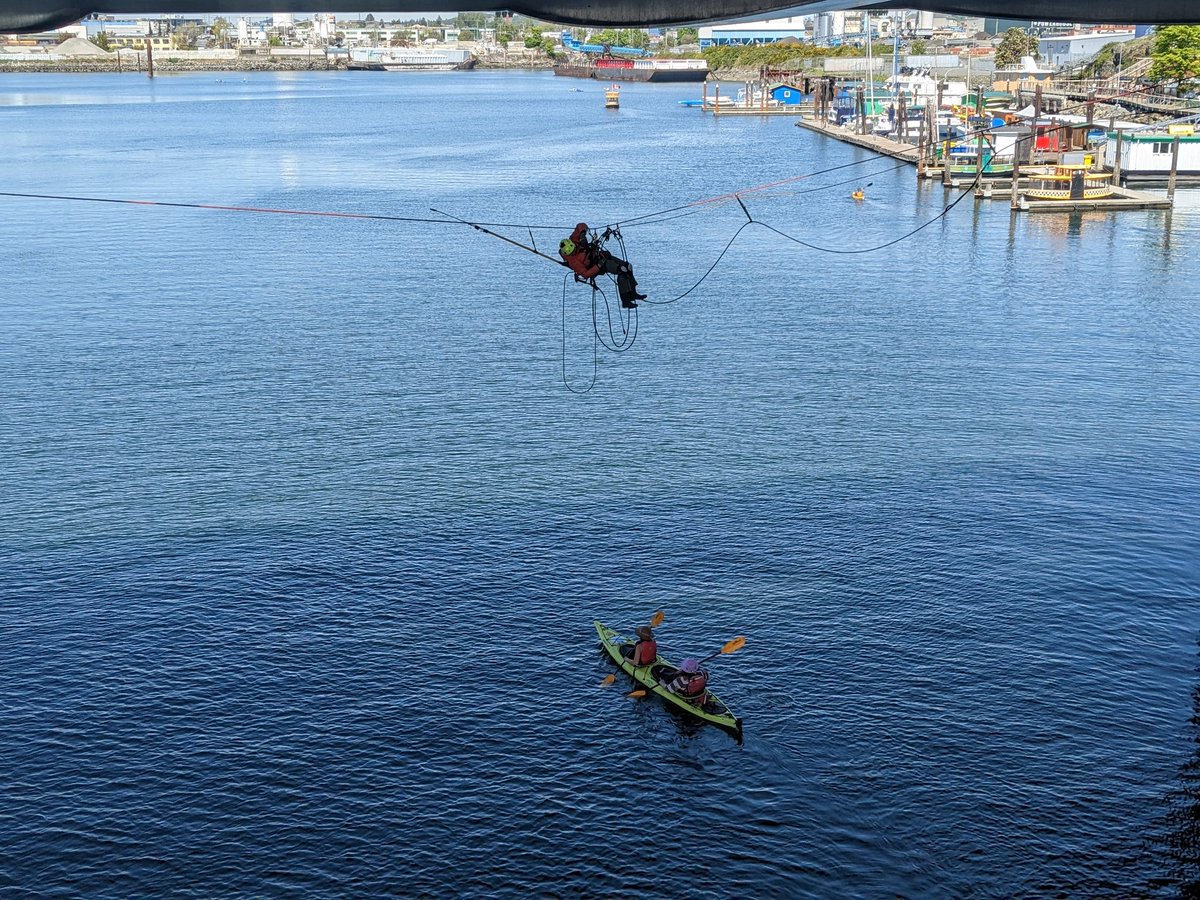 Who gets to do this job? #yyj <a href="/victoriabuzzes/">Victoria Buzz</a>