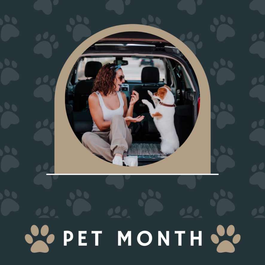 tristatenissan's tweet photo. May is National Pet Month, a time to show our furry friends some extra love and appreciation. 🐾❤️ Whether you're taking your dog on a walk, cuddling with your cat, or considering adopting a new pet, make this month one to remember! #NationalPetMonth https://t.co/mqvWH4Akh3
