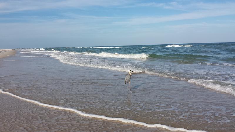 kellyloe's tweet photo. My friend, Gail, is a finalist in Margaritaville Hotels and Resorts’ Story Contest. Help me rally votes: https://t.co/wDguCHaVOm @Margaritaville https://t.co/RiKoIYzkfV
