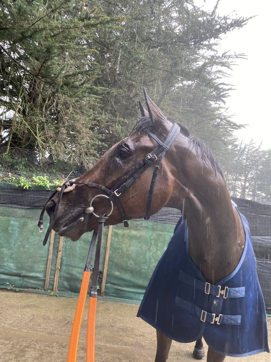 HassettRacing's tweet photo. Battle of Ridgeway found the pot of gold under the rainbow @ClonmelR this evening🤩🥇 https://t.co/YbjCibrCdT