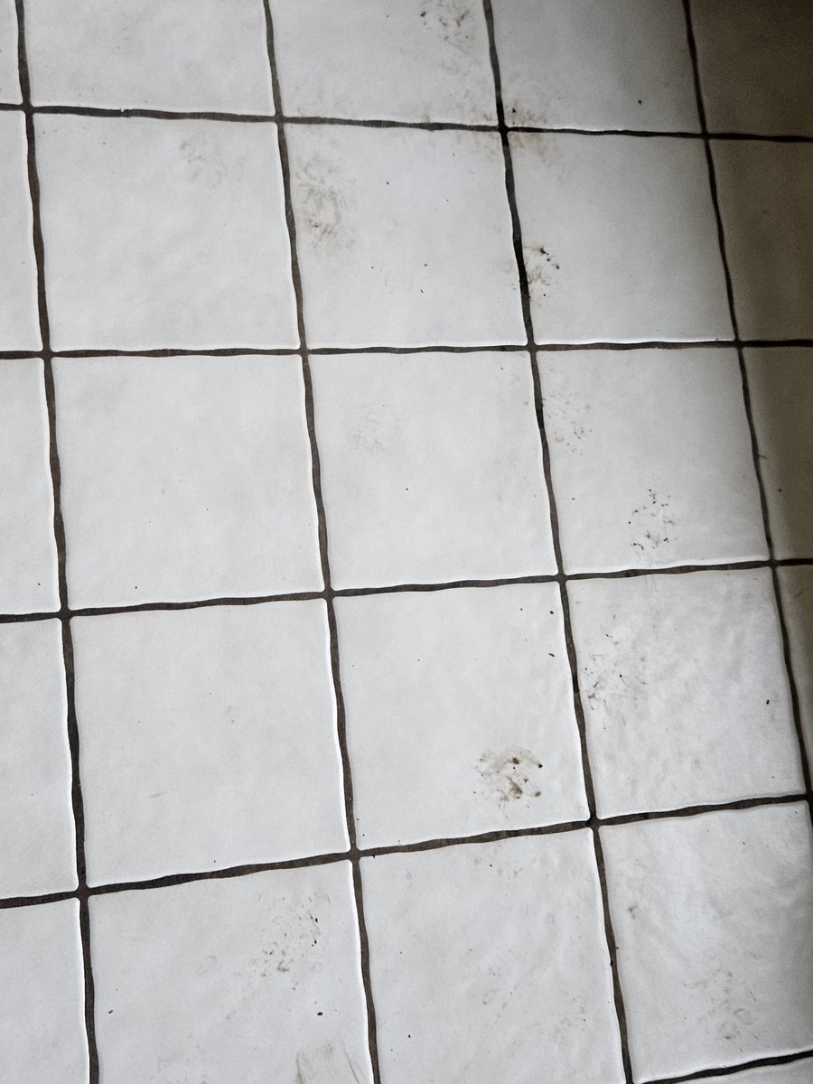 slanoue2016's tweet image. Our sunroom has become a #mudroom... not by choice! ☹️ #toomuchrain #muddypaws