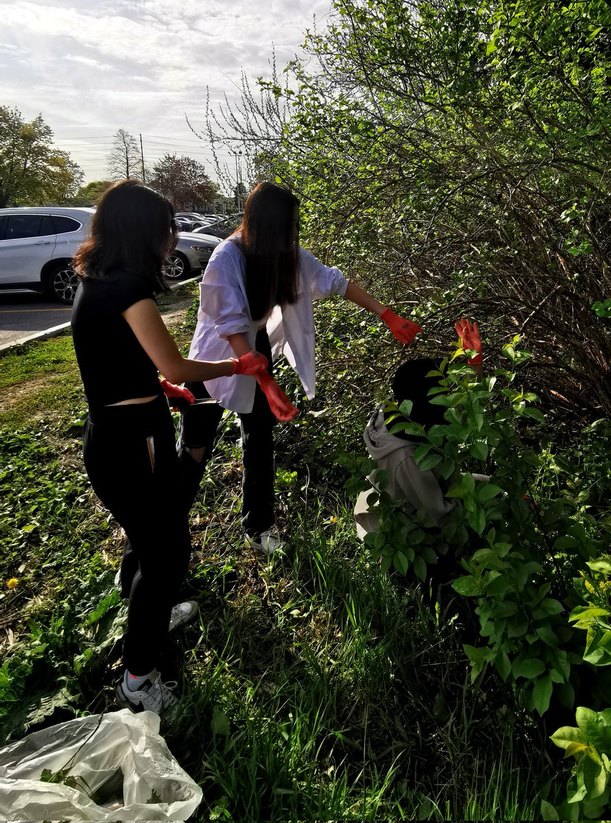 C.McConnell tweet media