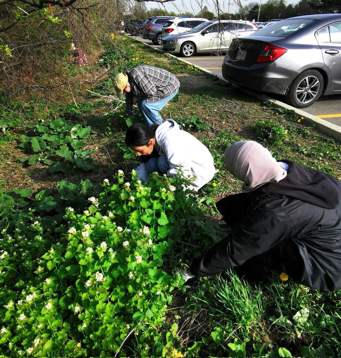 C.McConnell tweet media