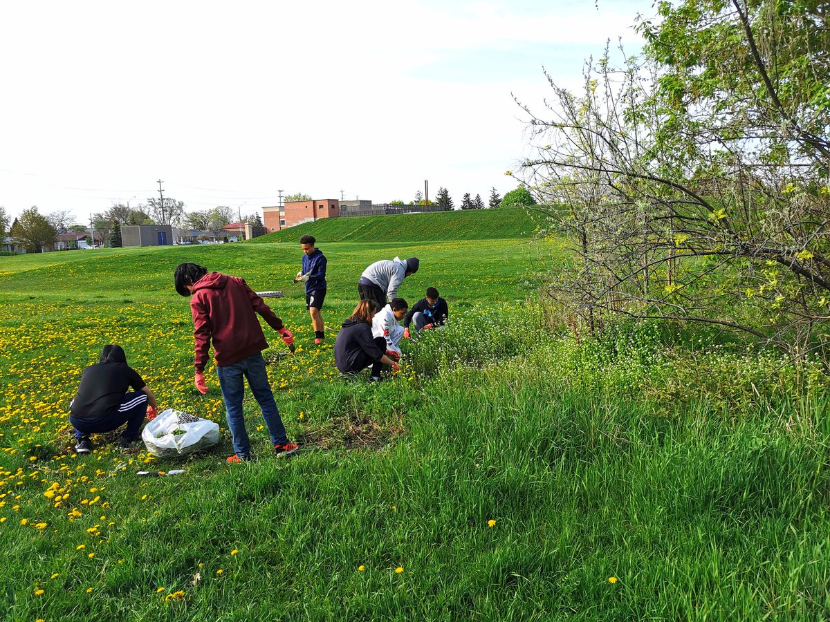 C.McConnell tweet media