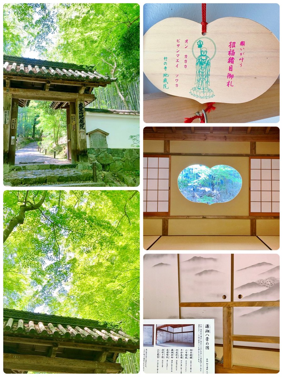 京都    竹の寺 地蔵院

細川頼之が建立した臨済禅宗の寺

竹林に囲まれていることから「竹の寺」とも呼ばれます

一休さん生誕の地としても知られています

細川護熙元首相筆の襖絵「瀟湘八景の図」 が奉納され、期間限定で公開されます😌
