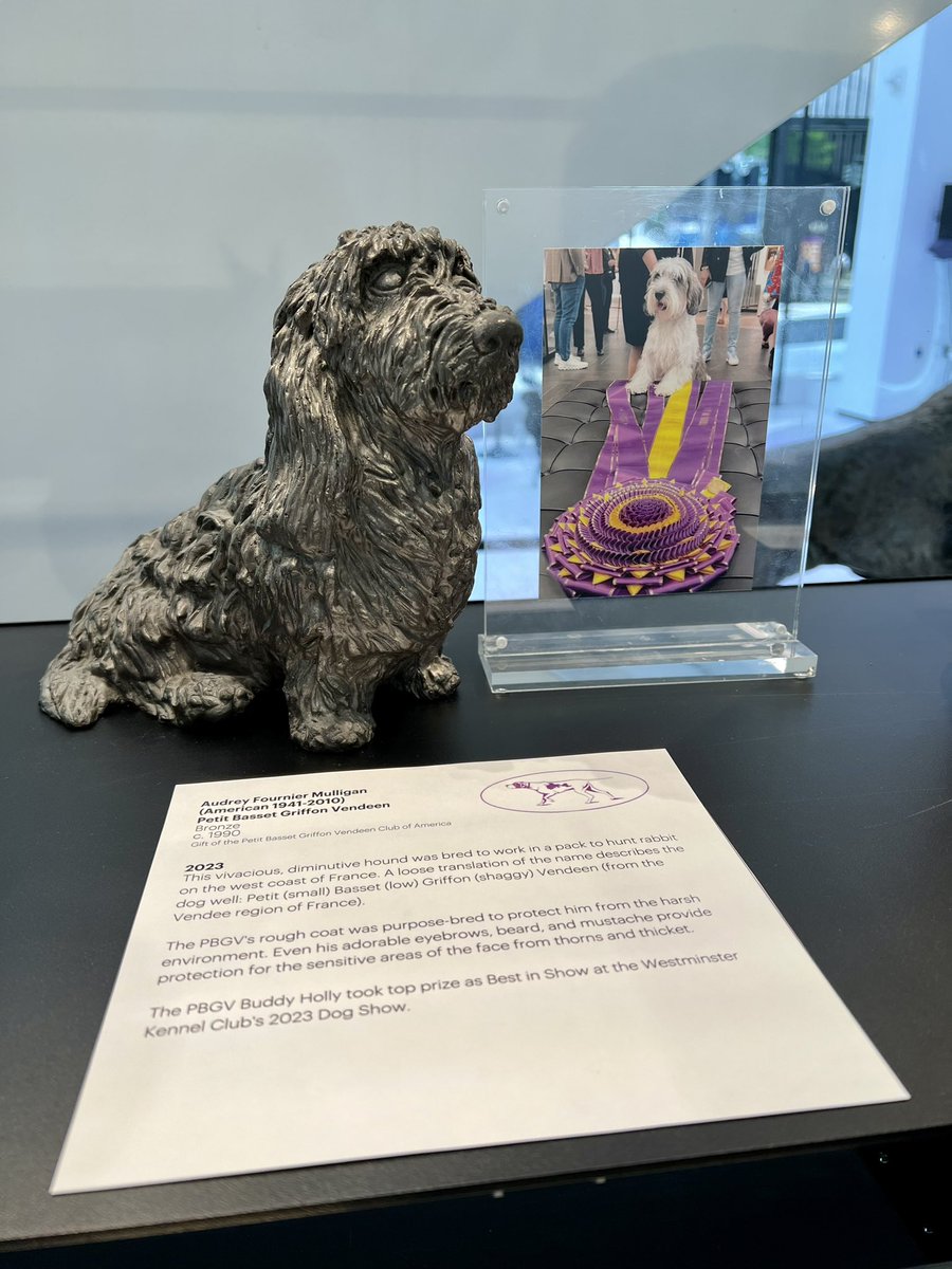 AKC Museum of the Dog tweet media