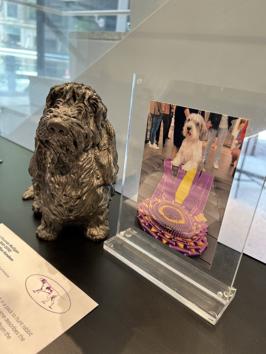 AKC Museum of the Dog (@akcmod) on Twitter photo Can’t get enough of <a href="/WKCDOGS/">Westminster Kennel Club</a> Best in Show winner, Buddy Holly? Neither can we—so we put this lovely sculpture by Audrey Fournier Mulligan (c.1990) out on view. If you’re in NYC pay him a visit! Can’t get enough of <a href="/WKCDOGS/">Westminster Kennel Club</a> Best in Show winner, Buddy Holly? Neither can we—so we put this lovely sculpture by Audrey Fournier Mulligan (c.1990) out on view. If you’re in NYC pay him a visit!