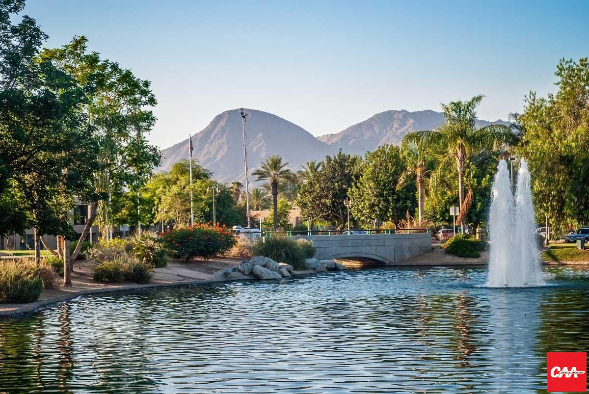 CAA_ONLINE's tweet photo. The Palm Springs Convention is next week! Leave your Zoom meetings behind and bring your sunblock, pencil, paper and business cards! Register today! https://t.co/wdgdsQYuxl https://t.co/IxmmxgTvZ9