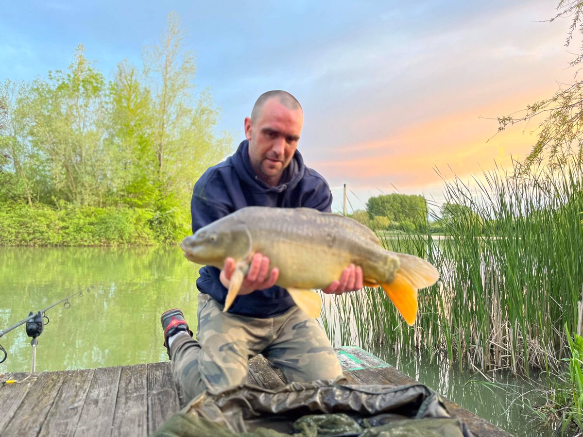 WBMCarpFishing's tweet photo. Quick in and out just the way I like it ๐ less than an hour in the water in the margins this evening and this Mirror Carp kindly obliged.
#mirrorcarp #carp #itsoknottopay #freefishing #inandout #quickdip #fishing #carpfishing #fishingtrip #fishinglife #carping
@5calesandtails https://t.co/UIo0OncaFy